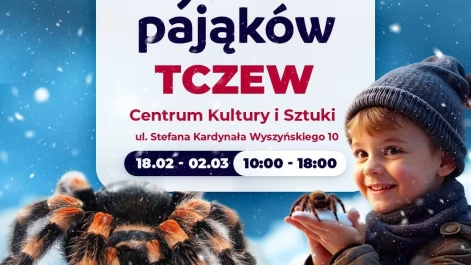 Tczew - Wystawa pająków i skorpionów