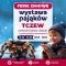 Tczew - Wystawa pająków i skorpionów