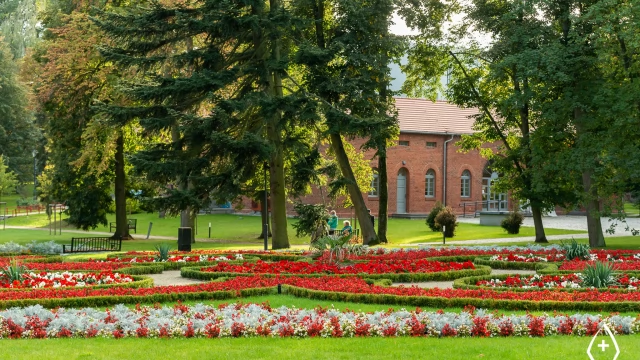 Tczew - Jarmark Cysterski 2022 - 200 stanowisk z historią w tle [FOTO]