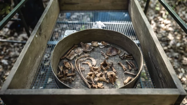 Tczew - To jedno z największych miejsc masowego ludobójstwa na Pomorzu. Są nowe ustalenia IPN