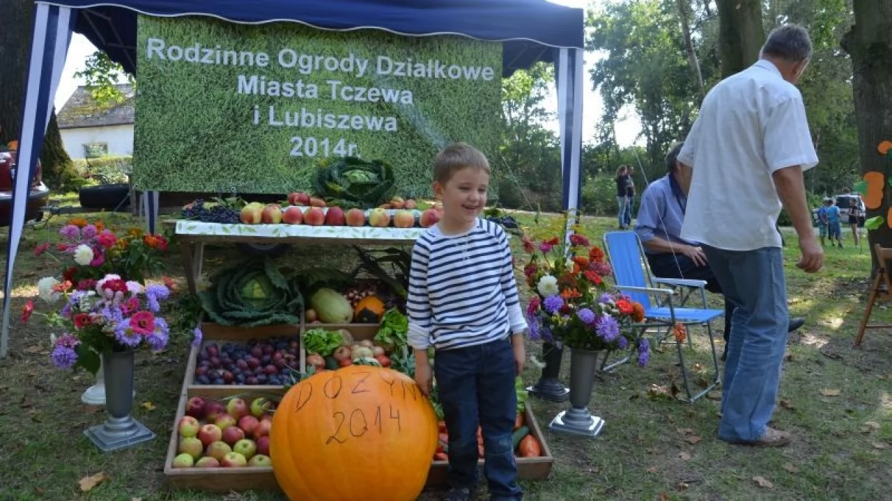 Tczew - Dożynki Gminy Tczew 2014