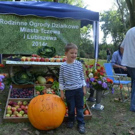 Tczew - Dożynki Gminy Tczew 2014