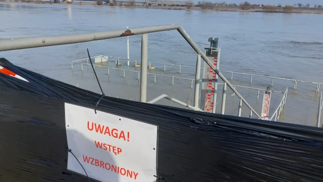 Tczew - Wysoki poziom Wisły - rzeka wylała na łąki po wschodniej stronie
