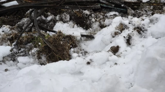 Tczew - Akcja na osiedlu Staszica. Woda mogła przerwać wał