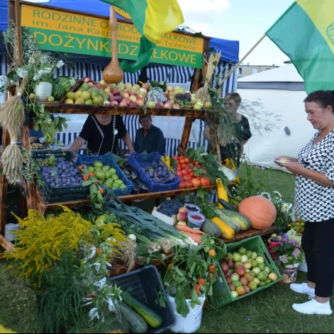 Tczew - Tczewscy działkowcy dziękowali za plon