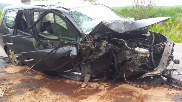 Tczew - Auto uderzyło w drzewo. Matka i kilkuletnie dziecko w szpitalu