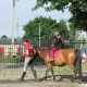 Tczew - "Żyj Zdrowo i Sportowo" - gimnazjaliści z "dwójki" w akcji