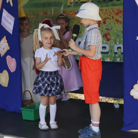 Tczew - XIV Edycja Ogrodów Nadziei - uzbierano ponad 30 tysięcy
