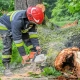 Tczew - Kilkanaście interwencji z powodu silnego wiatru