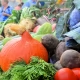 Tczew - XVII Tczewskie Dożynki Działkowe - sprawdź, co będzie działo się na bulwarze