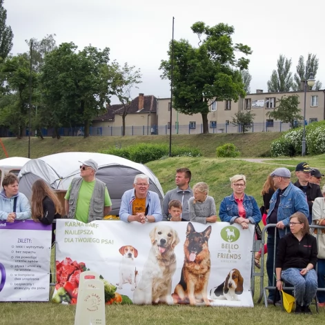 Tczew - Flyball - Wyścigi Psich Sztafet nad Wisłą