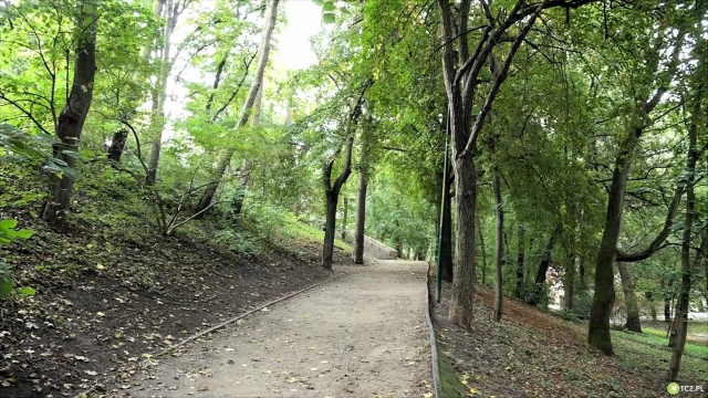 Tczew - Szerszenie w parku
