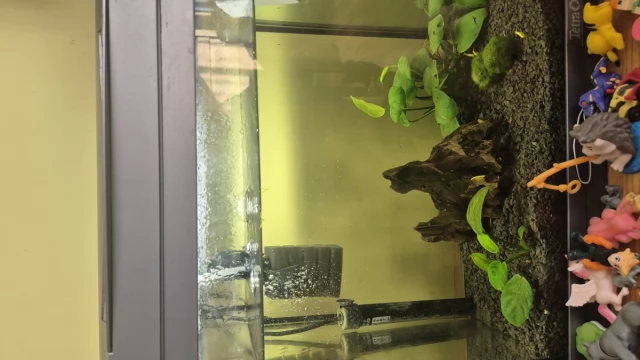 Tczew - Sprzedam akwarium