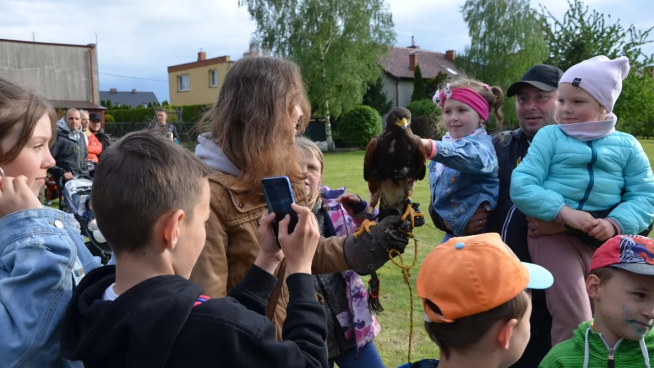 Tczew - Piknik na Górkach