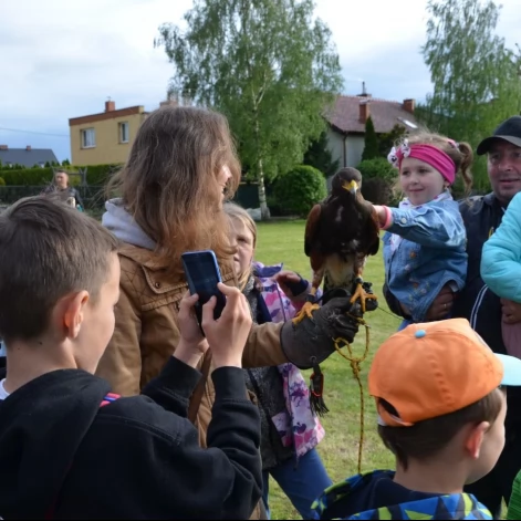 Tczew - Piknik na Górkach
