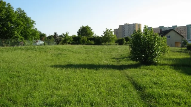 Tczew - Pustynia betonu