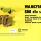 Tczew - Warsztaty SOS dla sów