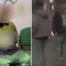 Tczew - Nawet trzy lata więzienia za wymachiwanie siekierą w środku miasta