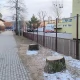 Tczew - Cztery topole poszły pod topór
