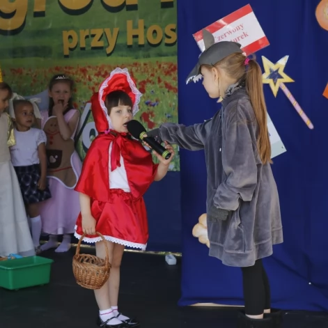 Tczew - XIV Edycja Ogrodów Nadziei - uzbierano ponad 30 tysięcy