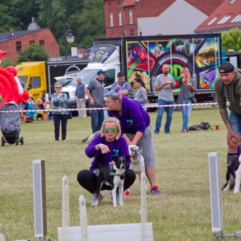 Tczew - Flyball - Wyścigi Psich Sztafet nad Wisłą