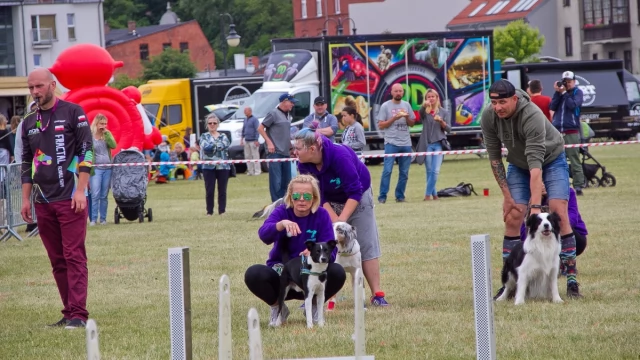 Tczew - Flyball i food trucki nad Wisłą