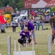 Tczew - Flyball i food trucki nad Wisłą [WIDEO]