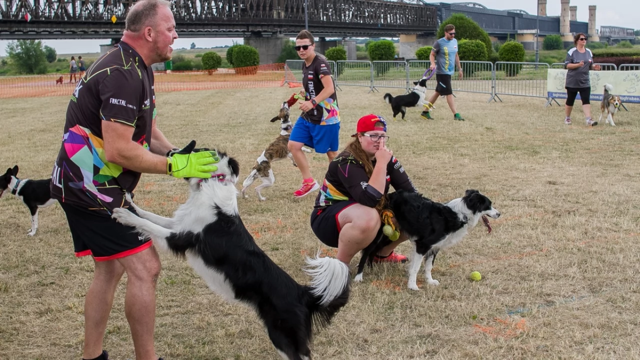 Tczew - Foodtrucki i Flyball nad Wisłą