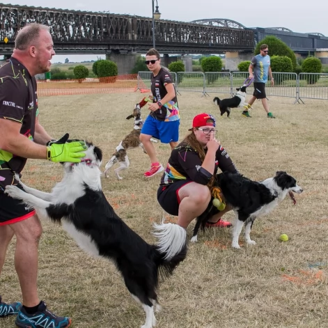 Tczew - Foodtrucki i Flyball nad Wisłą