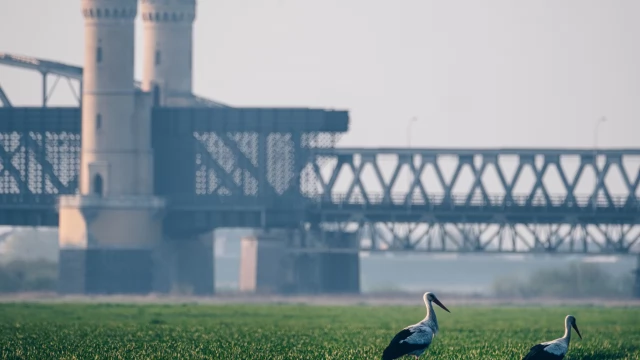 Tczew - "Cztery pory roku w Tczewie". Te zdjęcia trafią do miejskiego kalendarza