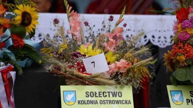 Tczew -  Zrobili bukiety dla Panny Zielnej