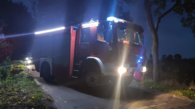 Tczew - Silny wiatr na Pomorzu - strażacy i energetycy mieli ręce pełne roboty