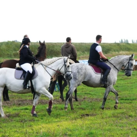 Tczew - Piknik Opaleński - wyścigi traktorów