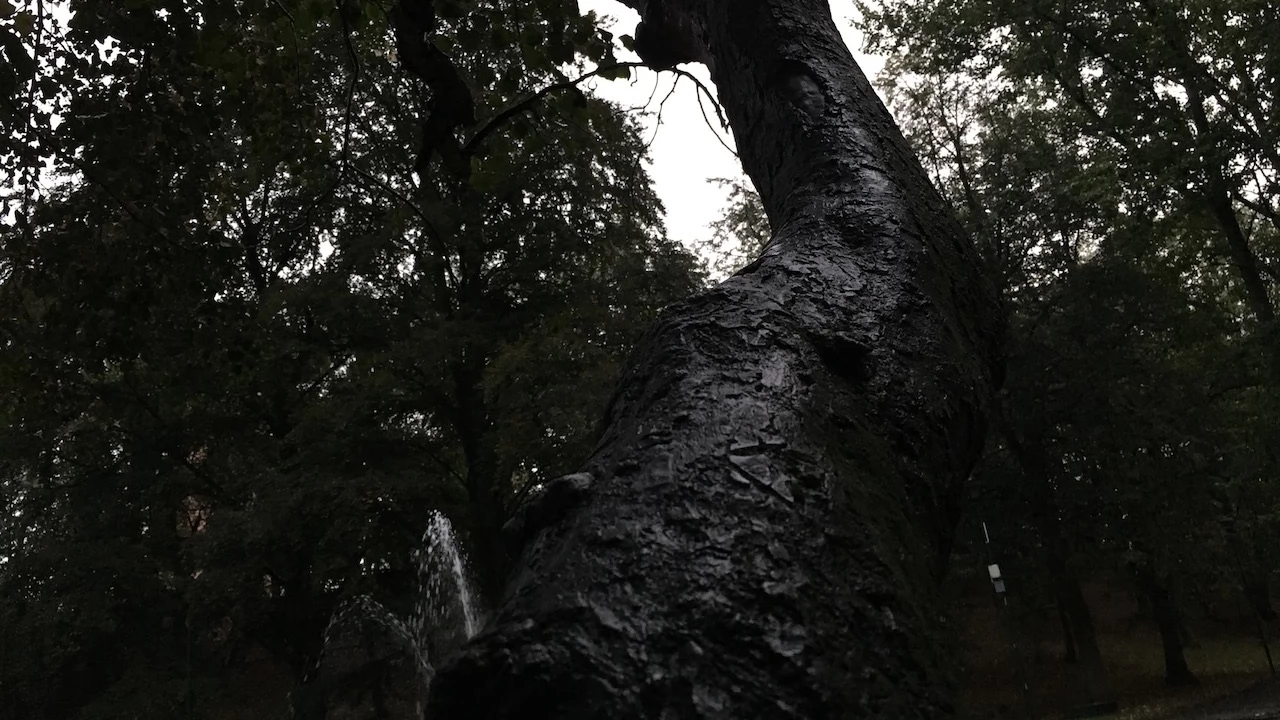 Tczew - Park Miejski jesienią z dnia 7.10.2016