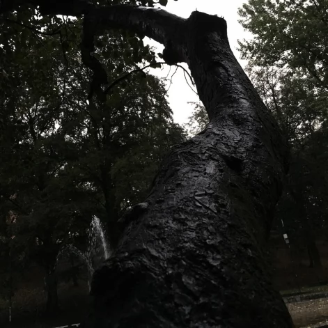 Tczew - Park Miejski jesienią z dnia 7.10.2016
