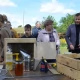 Tczew - Gmina Tczew będzie produkować własny miód