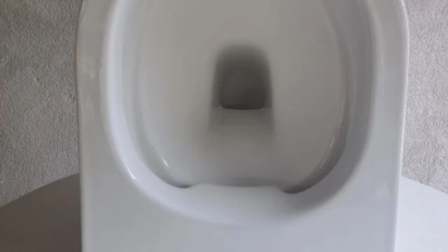 Tczew - Misa WC