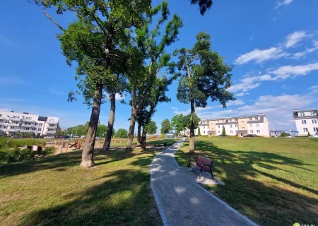 Tczew - Więcej łąk kwietnych, mniej koszenia do ziemi