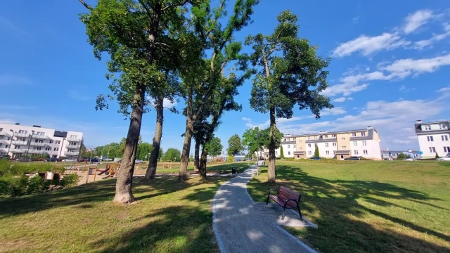 Tczew - Więcej łąk kwietnych, mniej koszenia do ziemi