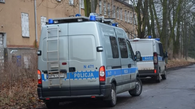 Tczew - Obława na łosie na terenie dawnych koszar