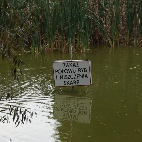Tczew - Stawek na Bajkowym