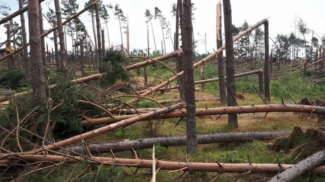 Tczew - Ostatnie dni to okres wytężonej pracy dla energetyków i strażaków