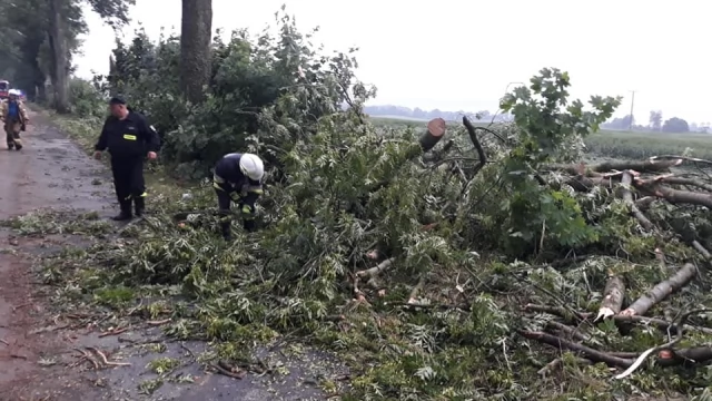 Tczew - Pluton "Wichura" pomagał w Mikołajkach Pomorskich, spustoszonych przez nawałnicę