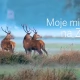 Tczew - Tczewianin chce pokazać piękno Polski. Ruszyła zrzutka na film