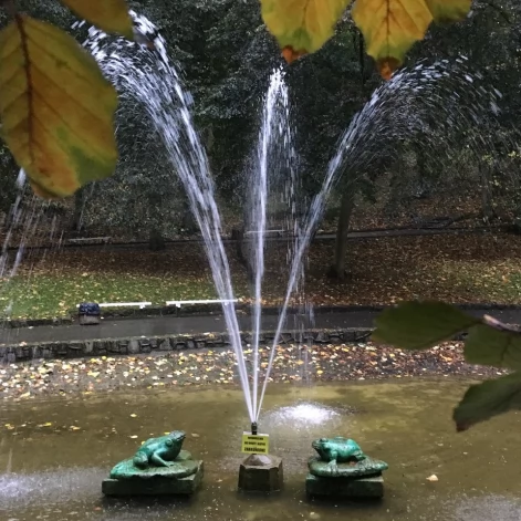 Tczew - Park Miejski jesienią z dnia 7.10.2016