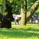 Tczew - Bezpieczne wakacje ze Strażą Miejską ?