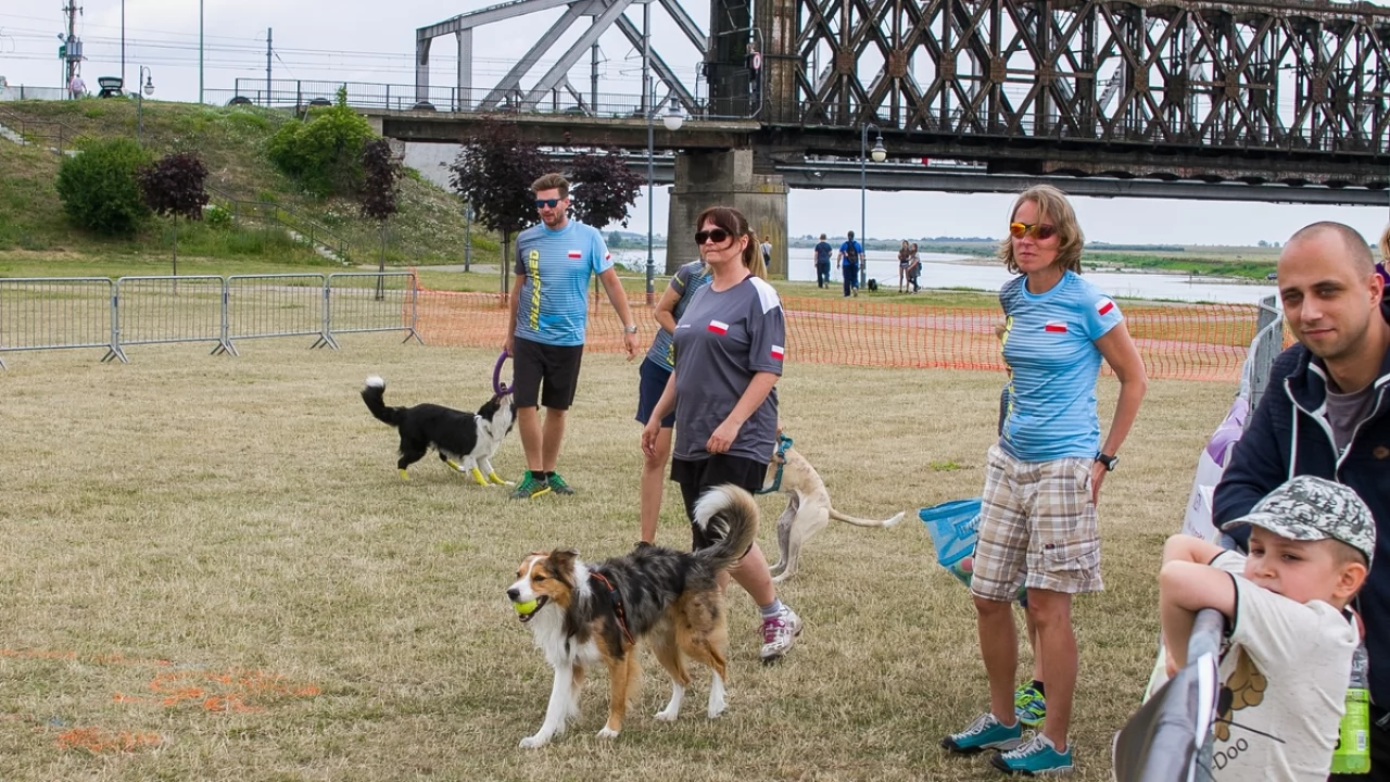 Tczew - Foodtrucki i Flyball nad Wisłą