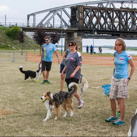 Tczew - Foodtrucki i Flyball nad Wisłą