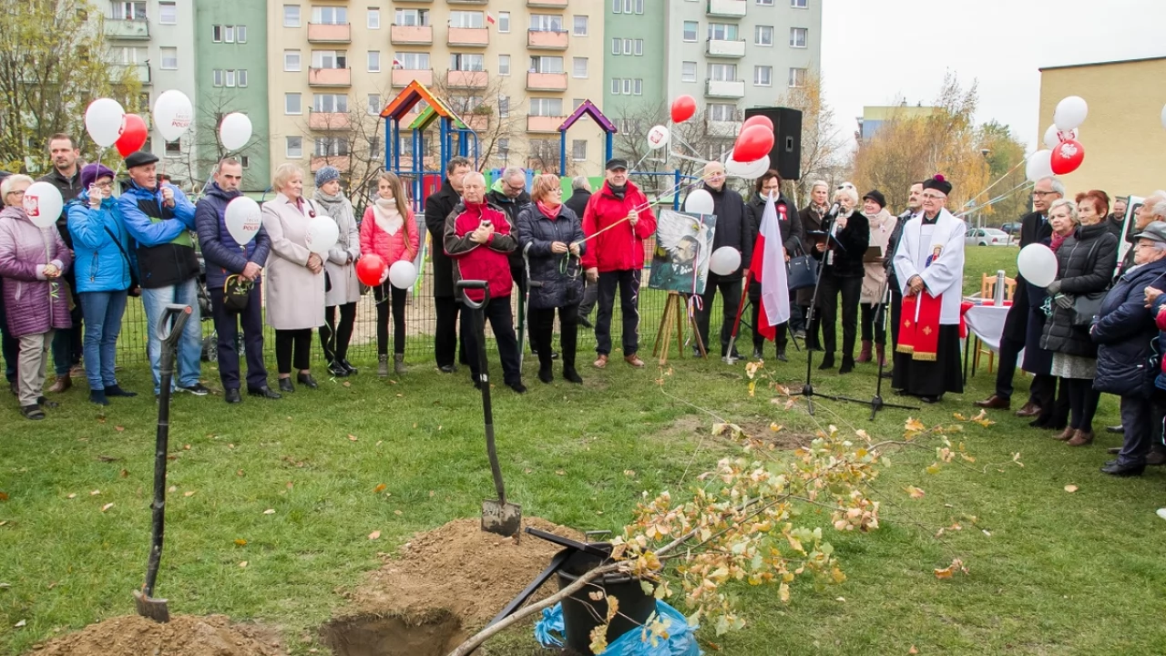 Tczew - Dąb na stulecie niepodległości