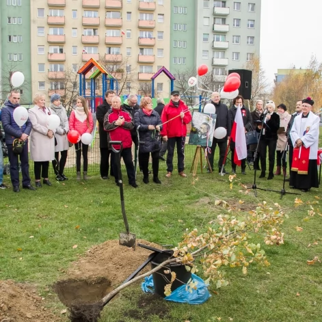 Tczew - Dąb na stulecie niepodległości